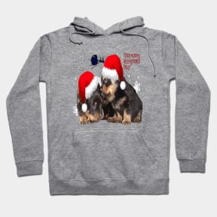 Holiday Ready Rottweilers A Puppy First Christmas Hoodie